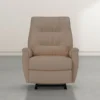 Rogan II Leather Power Rocker Recliner