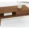 Mid-Century Modern Coffee Table With Storage