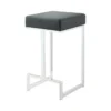Arianna Black 25" Counter Stool
