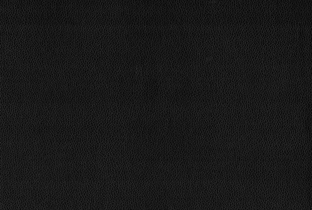 Marcelo Twin Daybed 5 Marcelo Twin Daybed - Image 5